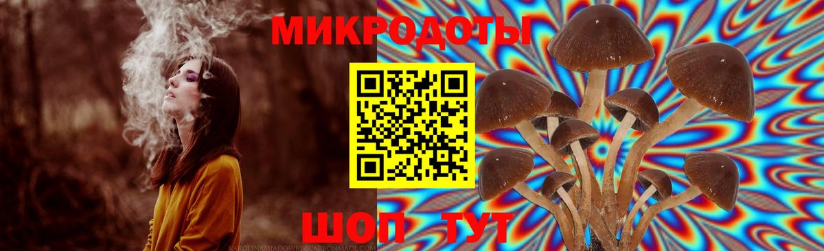 Псилоцибиновые грибы мухоморы  Псилоцибиновые грибы прущие грибы  Вход с VPN  Донецк 
